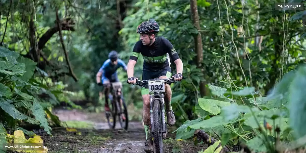 拒绝千篇一律,我们为每个 IP 注入独特的生命力!🎨